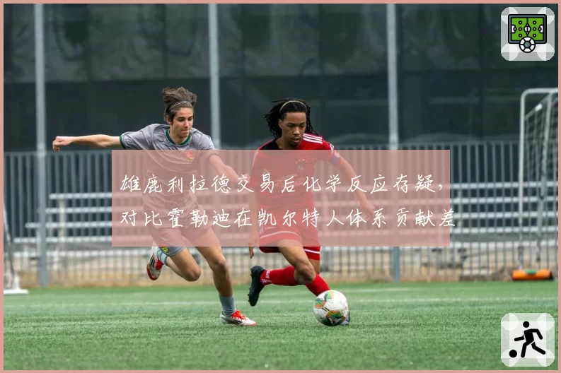 雄鹿利拉德交易后化学反应存疑，对比霍勒迪在凯尔特人体系贡献差异显著