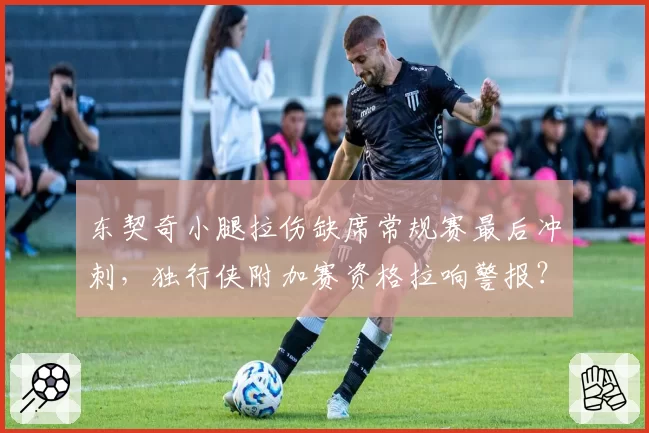 东契奇小腿拉伤缺席常规赛最后冲刺,独行侠附加赛资格拉响警报?