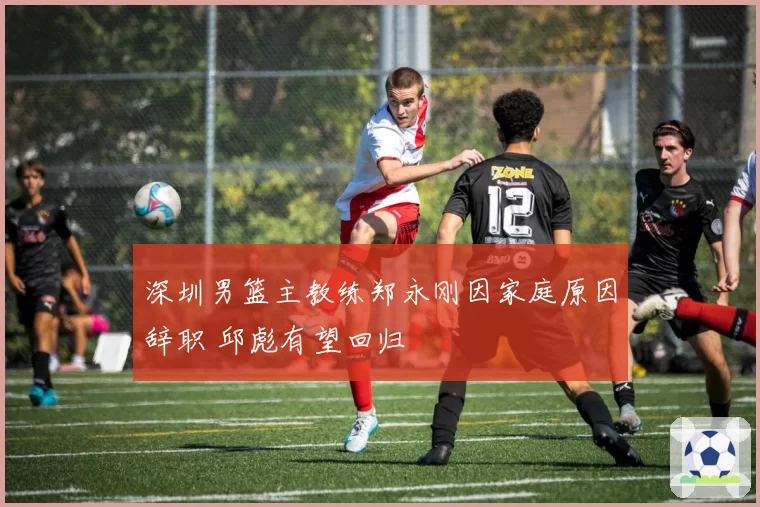 深圳男篮主教练郑永刚因家庭原因辞职 邱彪有望回归