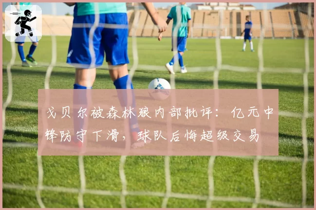 戈贝尔被森林狼内部批评：亿元中锋防守下滑，球队后悔超级交易