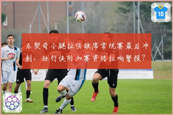 东契奇小腿拉伤缺席常规赛最后冲刺,独行侠附加赛资格拉响警报?
